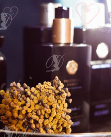 ANGELS TOUCH MASSAGE