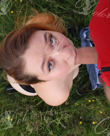 WOLFIE RED FOX OFFICIAL