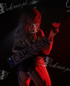 Wyjazdy Cameleon Club