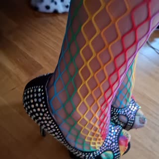 Nowa napalona suczka